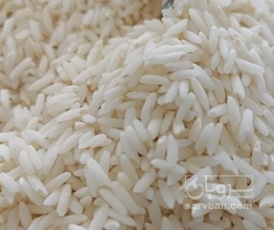 فروش برنج