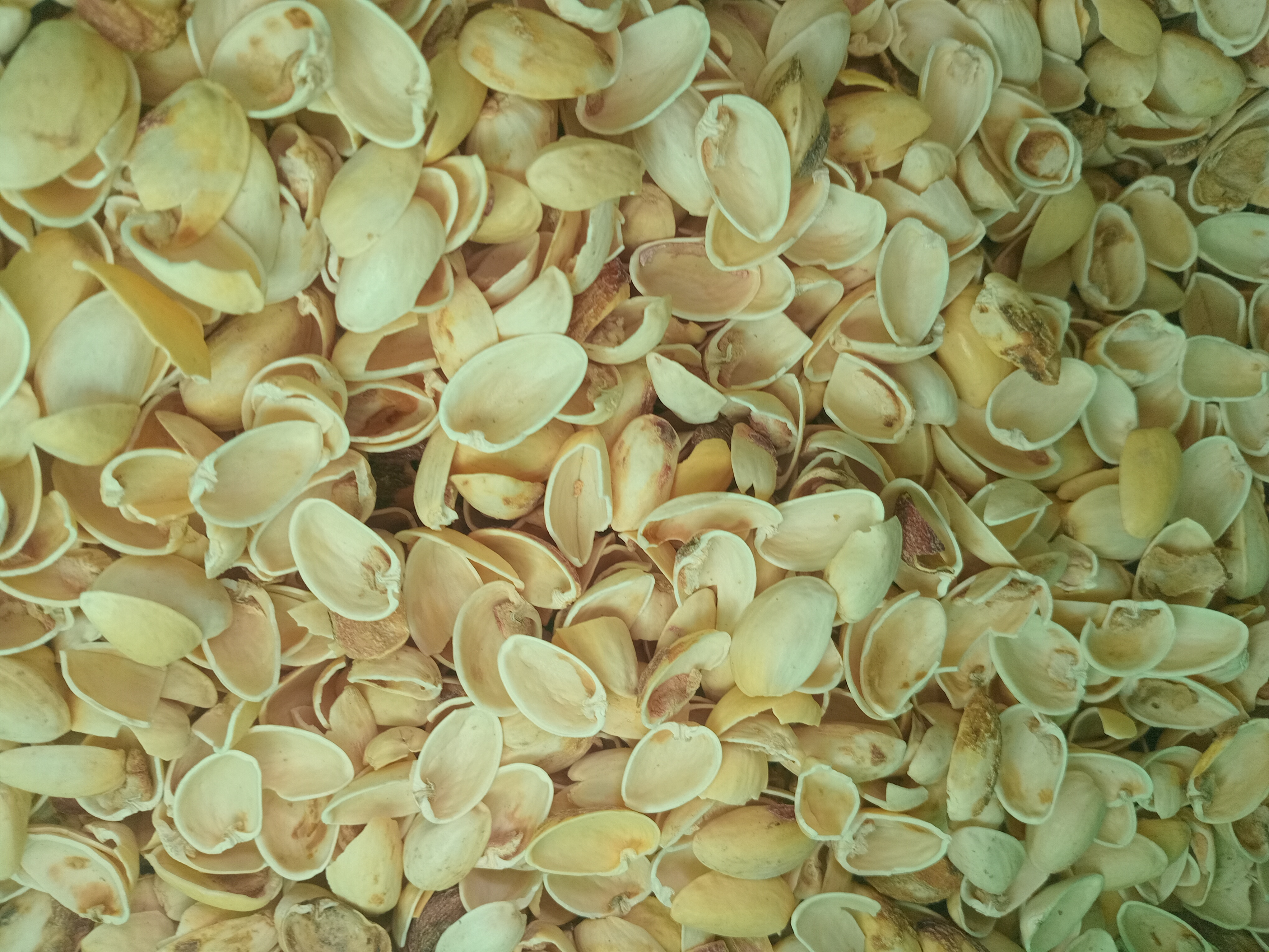 فروش پوست پسته (گیاه‌ دارویی)