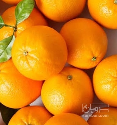 فروش پرتقال