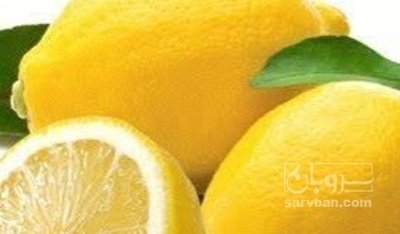 فروش لیمو ترش
