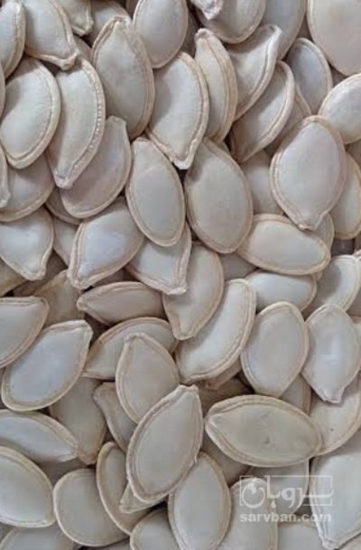 فروش تخمه  کدو بو داده