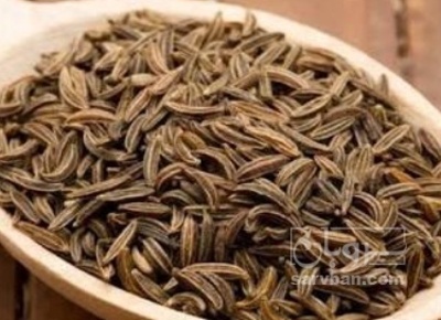 فروش زیره (گیاه‌ دارویی)