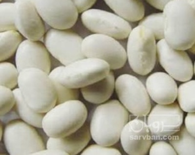 فروش لوبیا سفید