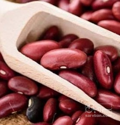 فروش لوبیا قرمز