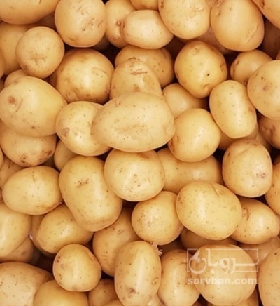 فروش سیب زمینی جلی