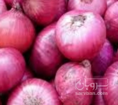 فروش پیاز قرمز