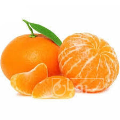 فروش نارنگی