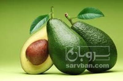 فروش آووکادو
