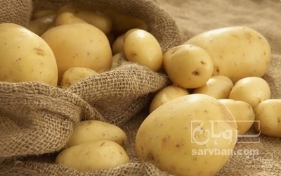 فروش سیب زمینی جلی