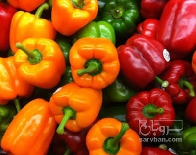 فروش فلفل دلمه ای