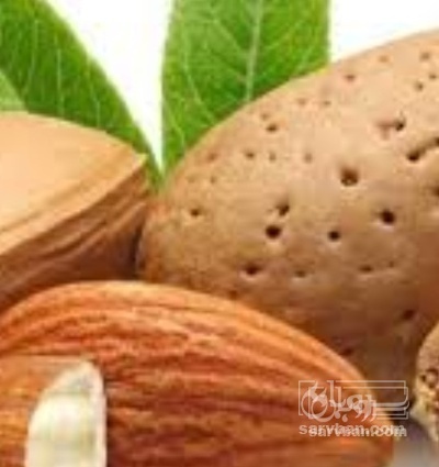 فروش بادام