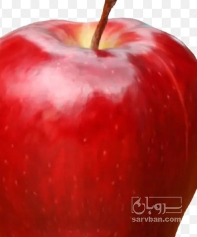 فروش سیب قرمز