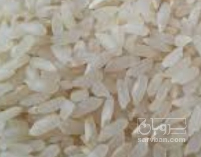 فروش برنج | سروبان