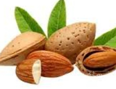 فروش بادام