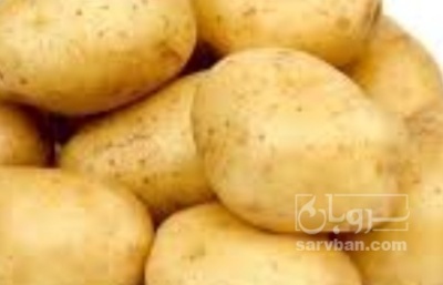 فروش سیب زمینی