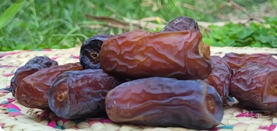 فروش خرماپیارم