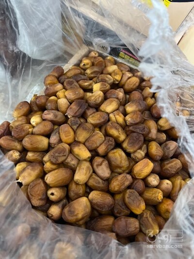 فروش خرما