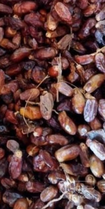 فروش خرما ضایعاتی