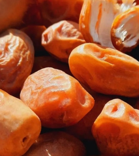 فروش خرما زاهدی