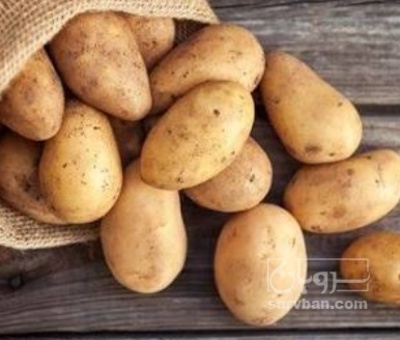 فروش سیب زمینی