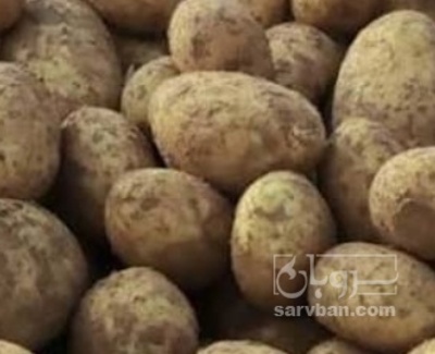 فروش سیب زمینی جلی