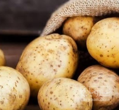 فروش سیب زمینی بذری