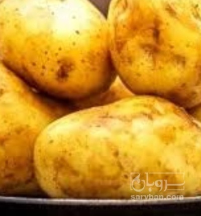 فروش سیب زمینی جلی