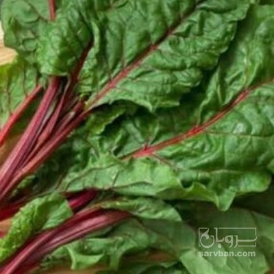 فروش برگ چغندر