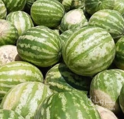 فروش هندوانه