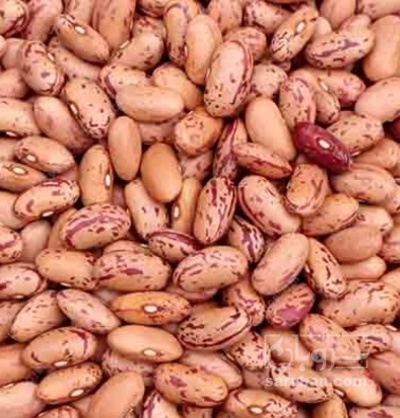 فروش لوبیا چیتی