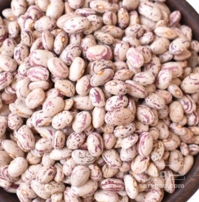 فروش لوبیا چیتی