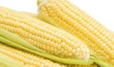 فروش ذرت مکزیکی