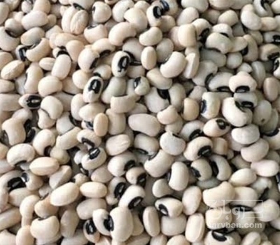 فروش لوبیا چشم بلبلی