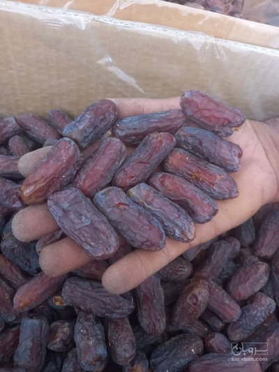 فروش خرماپیارم صادراتی