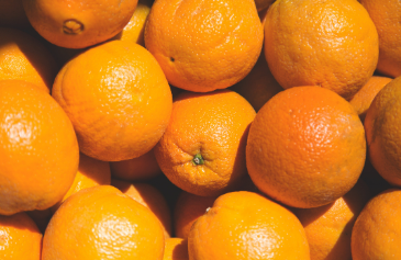 فروش پرتقال