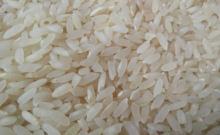 فروش برنج ارگانیک