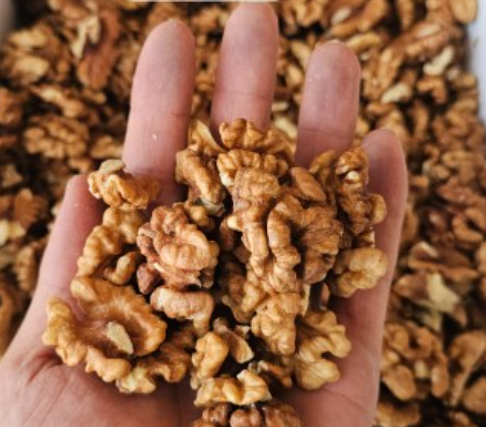 فروش گردو