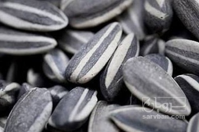 فروش تخمه آفتابگردان بود داده