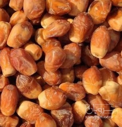 فروش خرما زاهدی