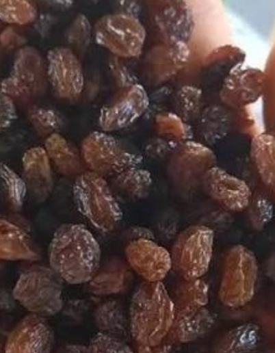 فروش کشمش افتابی