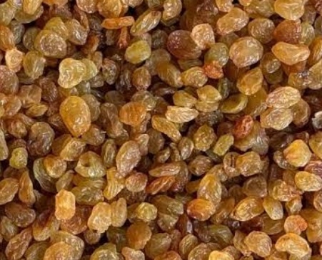 فروش کشمش تیزابی