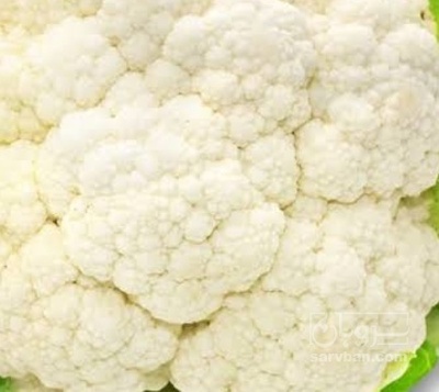 فروش گل کلم