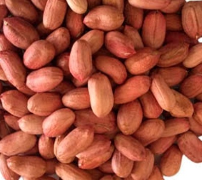 فروش بادام زمینی