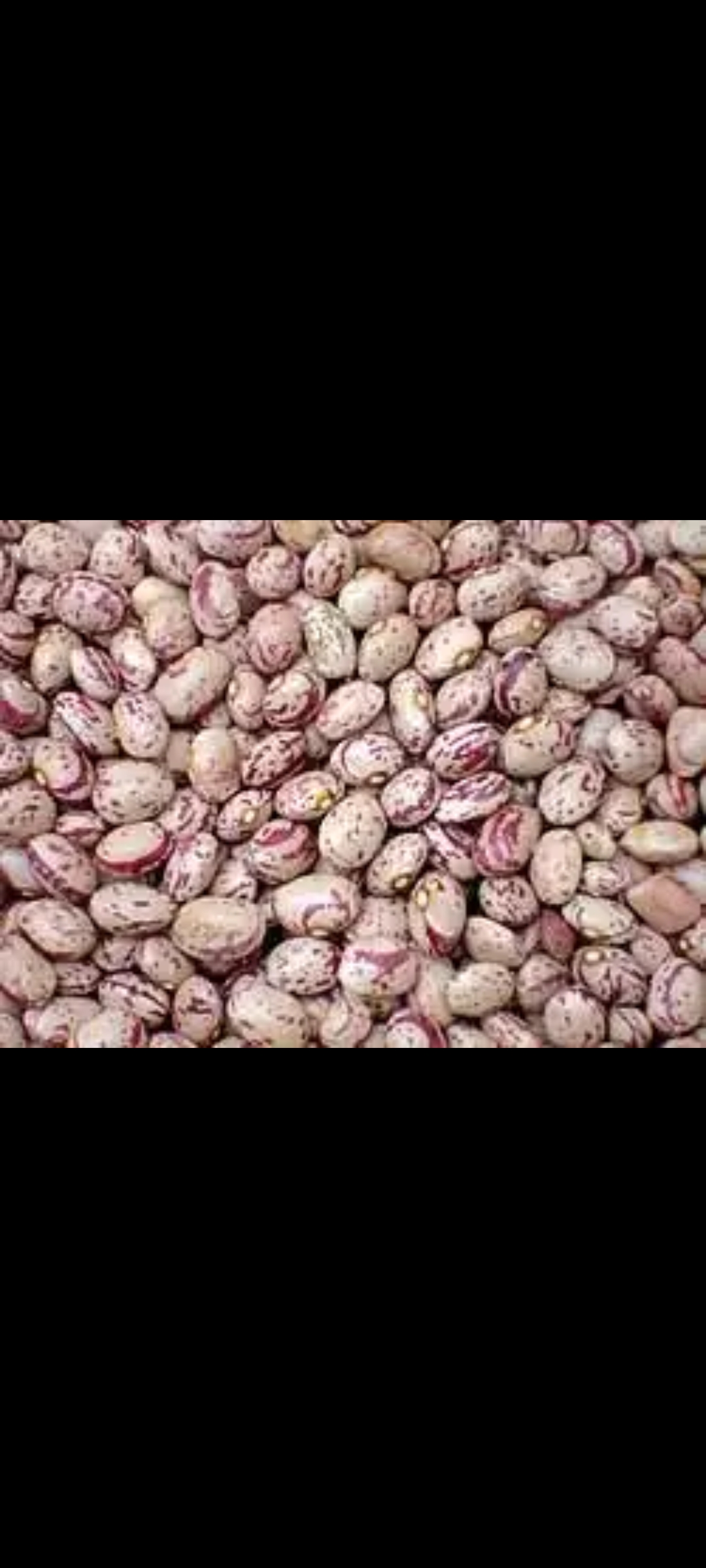 فروش لوبیا چیتی