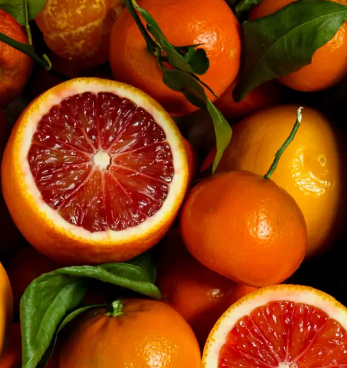 فروش پرتقال خونی