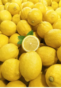 فروش لیمو شیرین