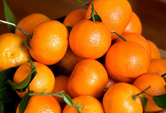 فروش نارنگی یافا