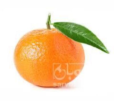 فروش نارنگی