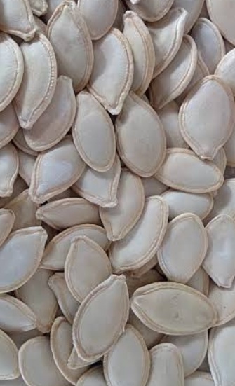 فروش تخمه  کدو بو داده