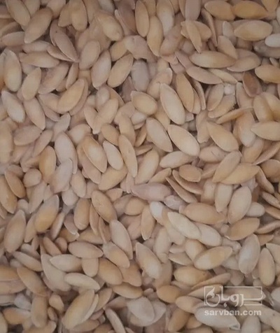 فروش تخمه خربزه  بو داده